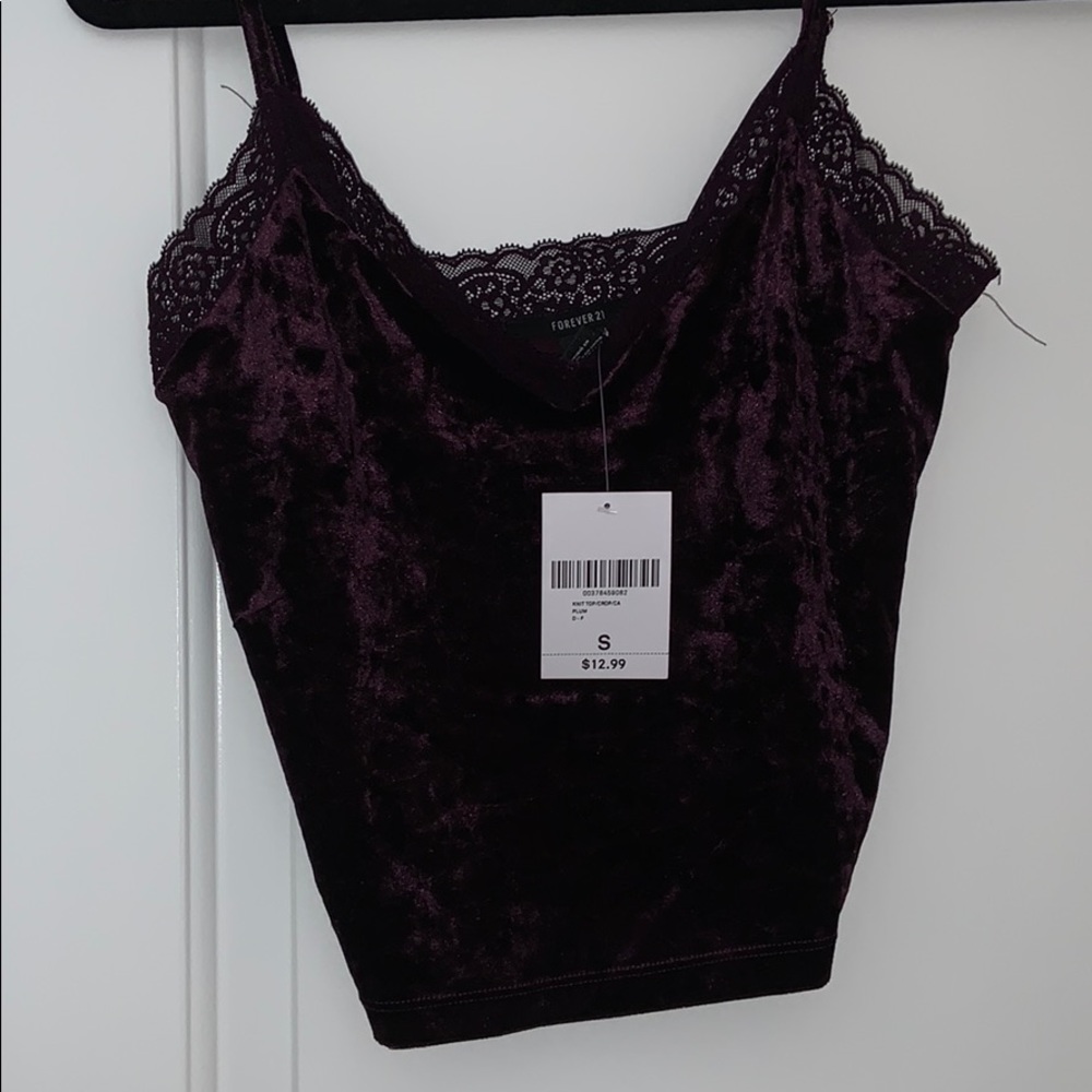 NWT Purple velvet and lace crop top